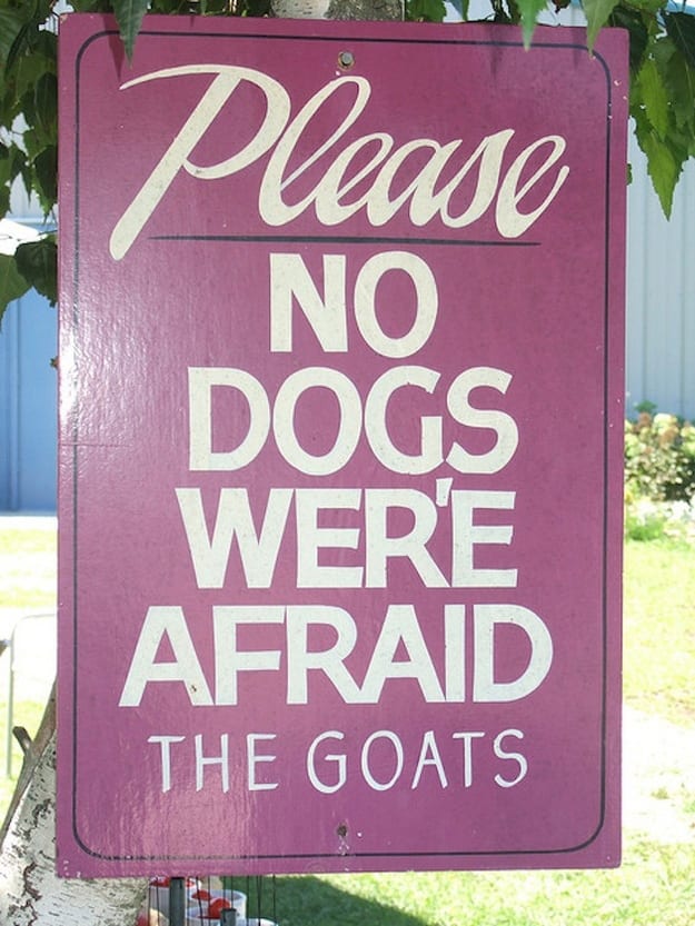 funny-english-grammar-errors-on-signs-unique-web-copy