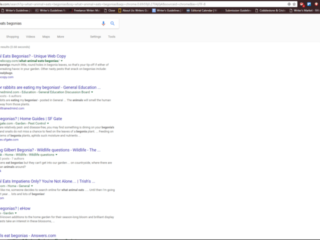 Best SEO Copywriter