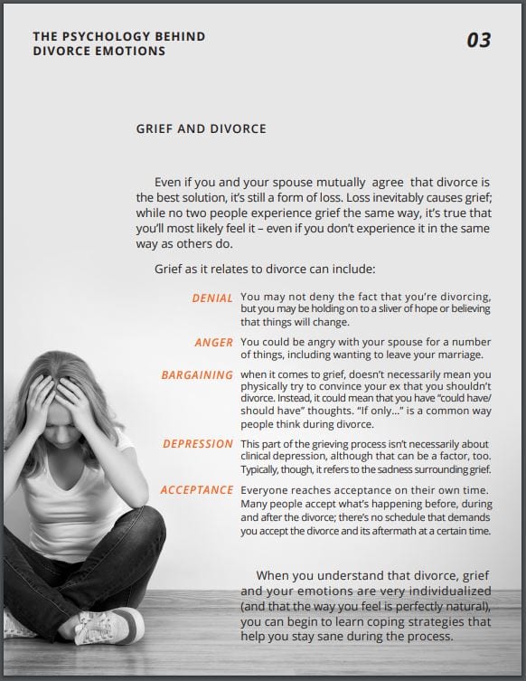 Ebook About Divorce and Emotional Issues for Attorneys by Angie Papple Johnston