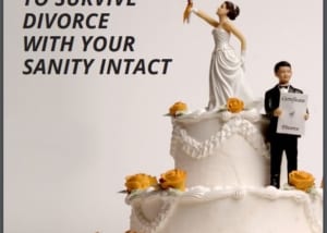 Ebook on Divorce for Attorneys by Angie Papple Johnston