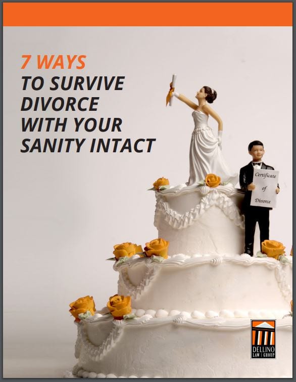 Ebook on Divorce for Attorneys by Angie Papple Johnston